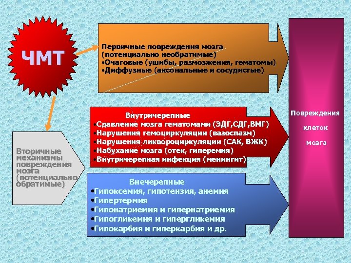 ЧМТ Вторичные механизмы повреждения мозга (потенциально обратимые) Первичные повреждения мозга (потенциально необратимые) • Очаговые