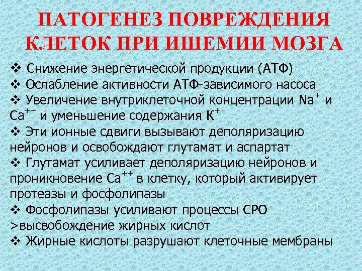 ПАТОГЕНЕЗ ПОВРЕЖДЕНИЯ КЛЕТОК ПРИ ИШЕМИИ МОЗГА v Снижение энергетической продукции (АТФ) v Ослабление активности