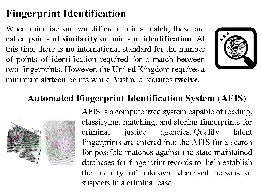 Fingerprint Identification When minutiae on two different prints match, these are called points of