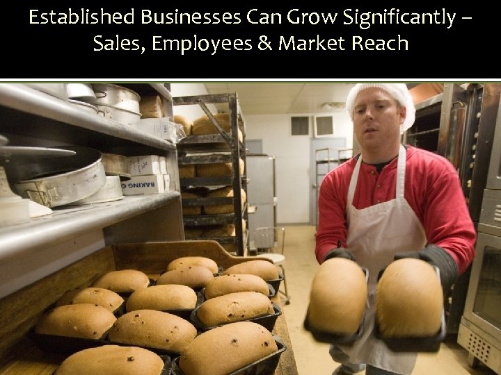 Established Businesses Can Grow Significantly – Sales, Employees & Market Reach 