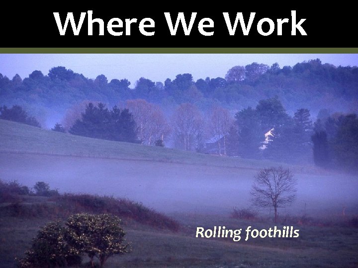 Where We Work Rolling foothills 