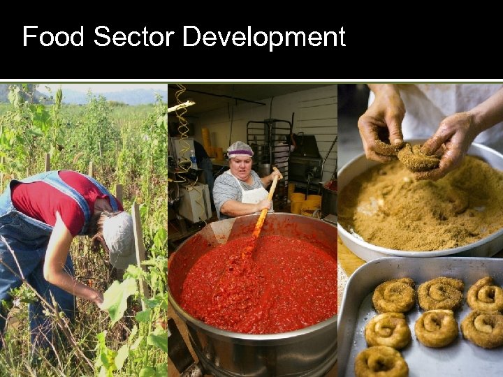 Food Sector Development 