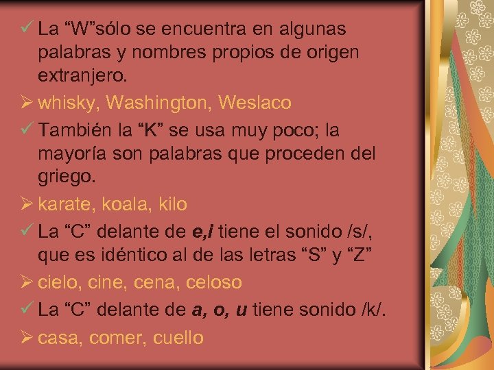 ü La “W”sólo se encuentra en algunas palabras y nombres propios de origen extranjero.