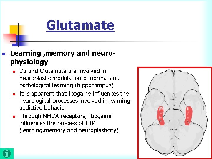 Glutamate n Learning , memory and neurophysiology n n n Da and Glutamate are