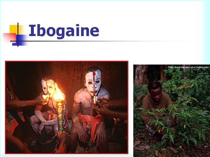 Ibogaine 