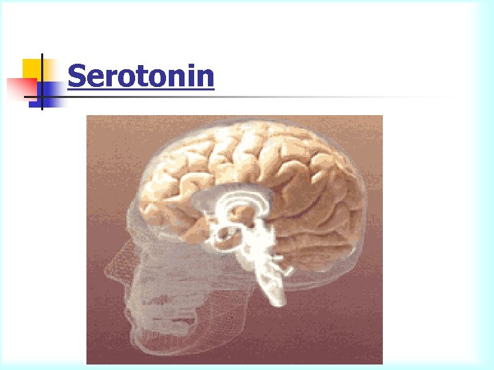 Serotonin 