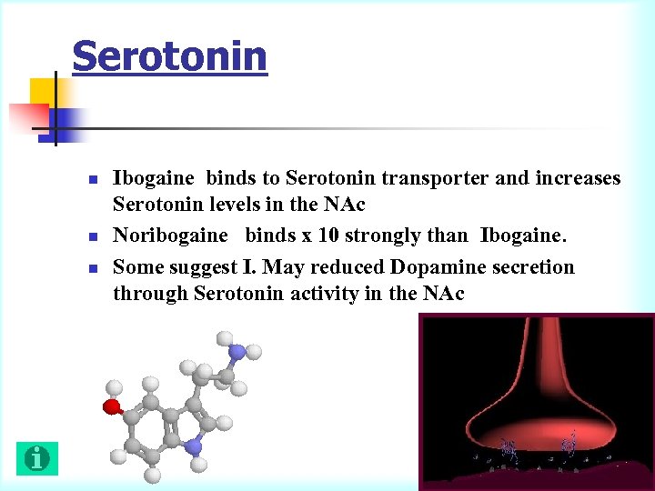 Serotonin n Ibogaine binds to Serotonin transporter and increases Serotonin levels in the NAc