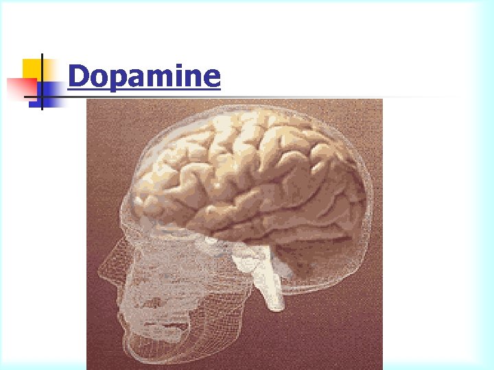 Dopamine 