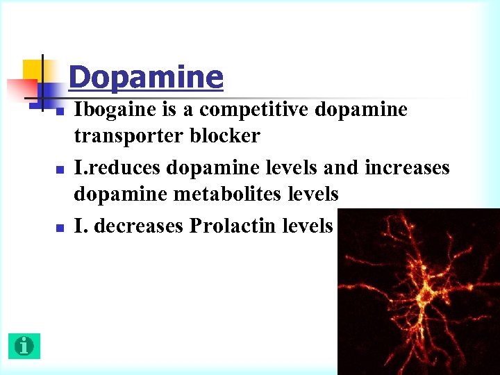 Dopamine n n n Ibogaine is a competitive dopamine transporter blocker I. reduces dopamine