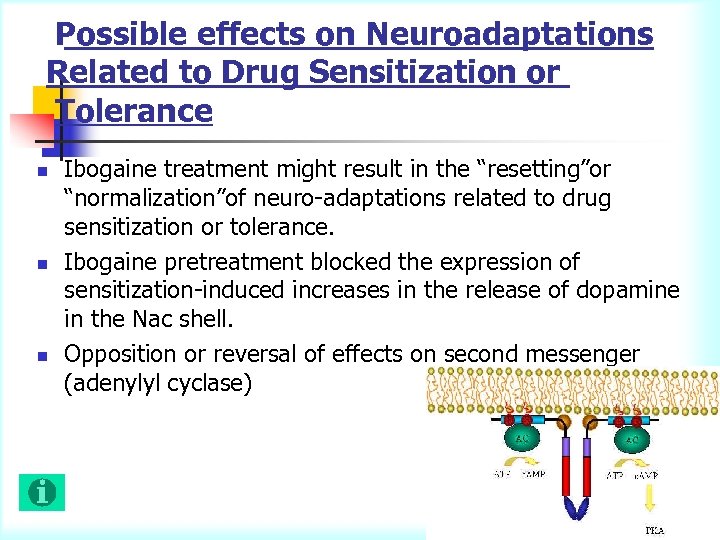 Possible effects on Neuroadaptations Related to Drug Sensitization or Tolerance n n n Ibogaine