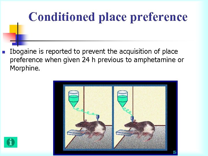 Conditioned place preference n Ibogaine is reported to prevent the acquisition of place preference