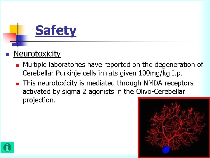 Safety n Neurotoxicity n n Multiple laboratories have reported on the degeneration of Cerebellar