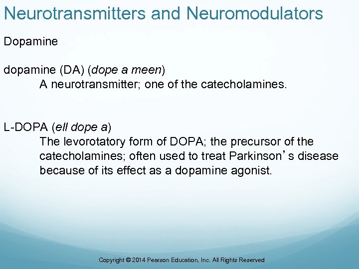 Neurotransmitters and Neuromodulators Dopamine dopamine (DA) (dope a meen) A neurotransmitter; one of the