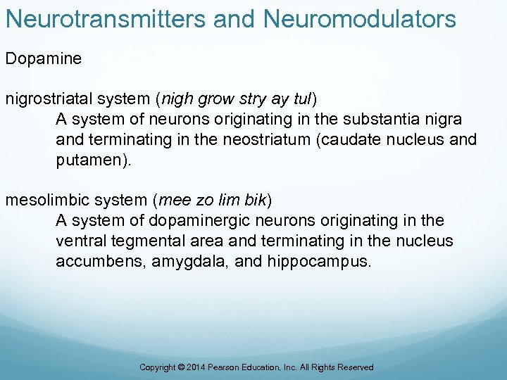 Neurotransmitters and Neuromodulators Dopamine nigrostriatal system (nigh grow stry ay tul) A system of