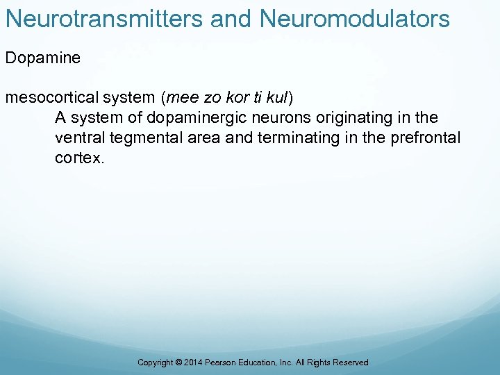 Neurotransmitters and Neuromodulators Dopamine mesocortical system (mee zo kor ti kul) A system of
