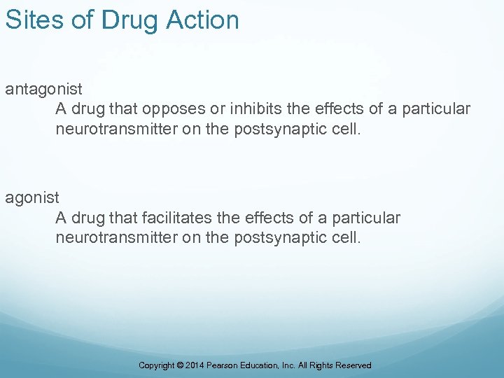 Sites of Drug Action antagonist A drug that opposes or inhibits the effects of