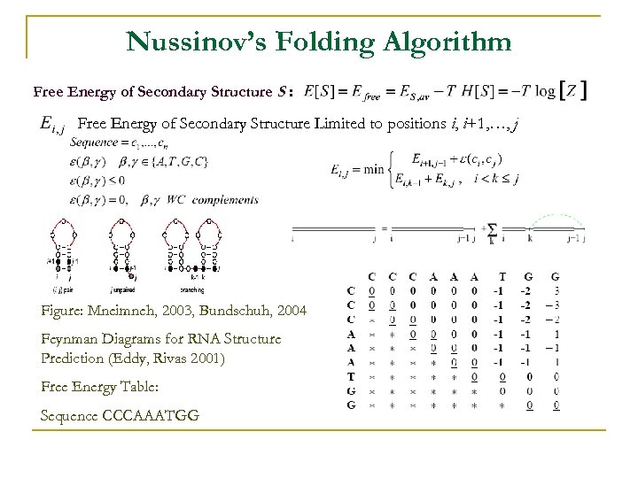 Nussinov’s Folding Algorithm Free Energy of Secondary Structure S : Free Energy of Secondary