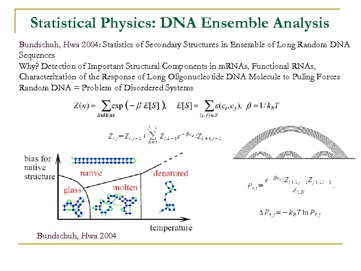 Statistical Physics: DNA Ensemble Analysis Bundschuh, Hwa 2004: Statistics of Secondary Structures in Ensemble