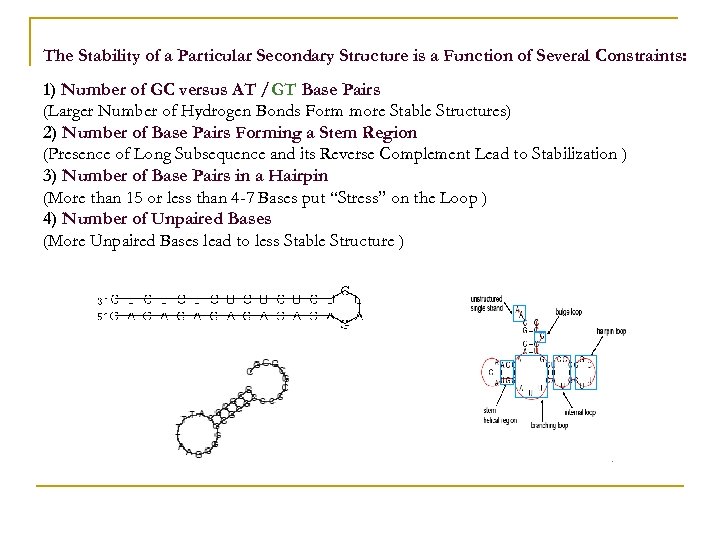 The Stability of a Particular Secondary Structure is a Function of Several Constraints: 1)