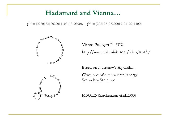 Hadamard and Vienna… Vienna Package: T=37◦C http: //www. tbi. univie. ac. at/~ivo/RNA/ Based on