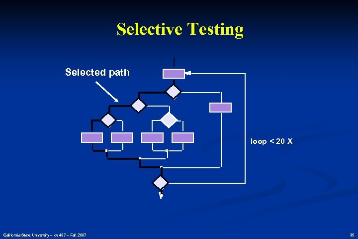 Selective Testing Selected path loop < 20 X California State University – cs 437