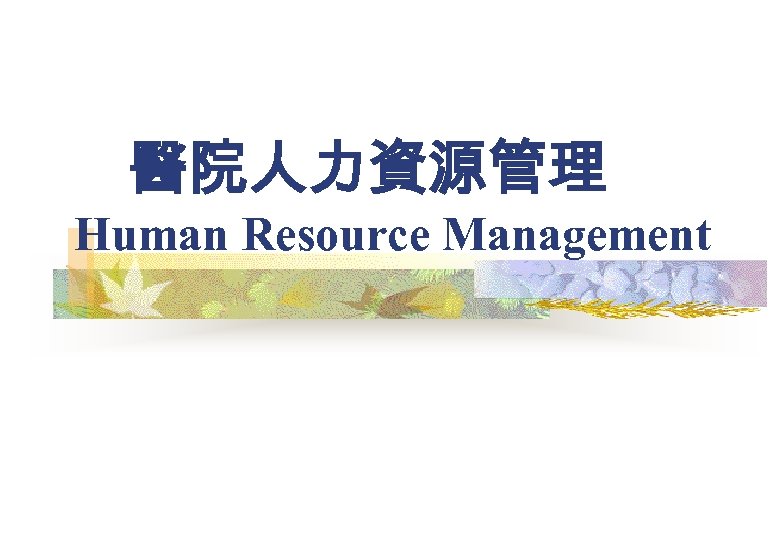 醫院人力資源管理 Human Resource Management 