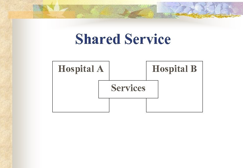 Shared Service Hospital A Hospital B Services 