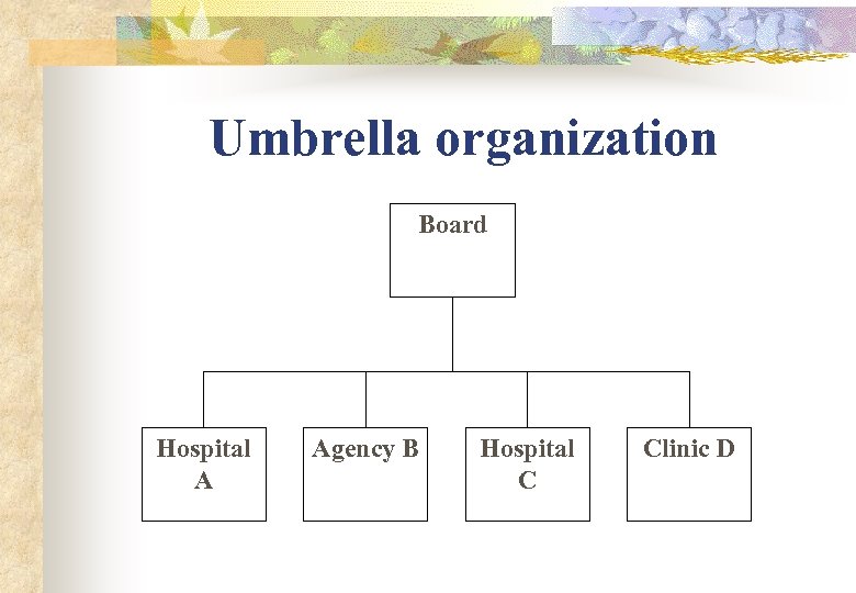 Umbrella organization Board Hospital A Agency B Hospital C Clinic D 