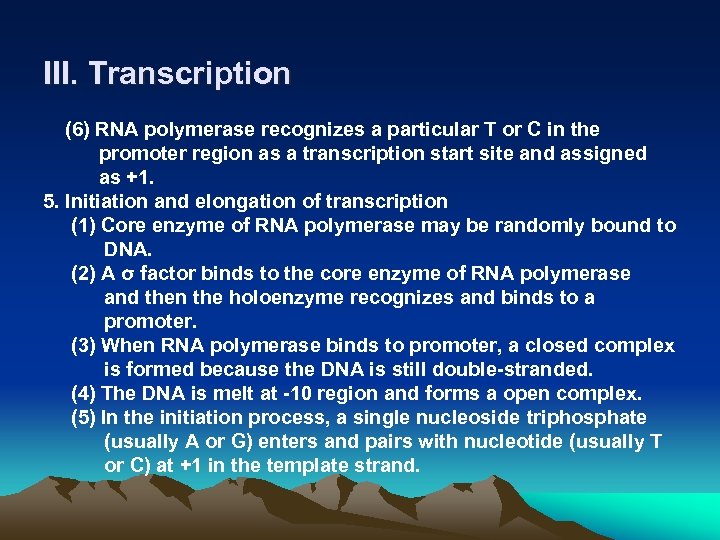 III. Transcription (6) RNA polymerase recognizes a particular T or C in the promoter