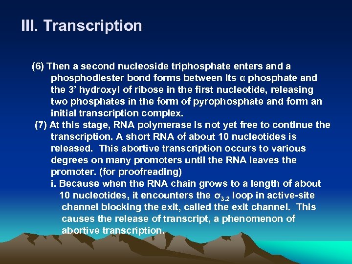 III. Transcription (6) Then a second nucleoside triphosphate enters and a phosphodiester bond forms