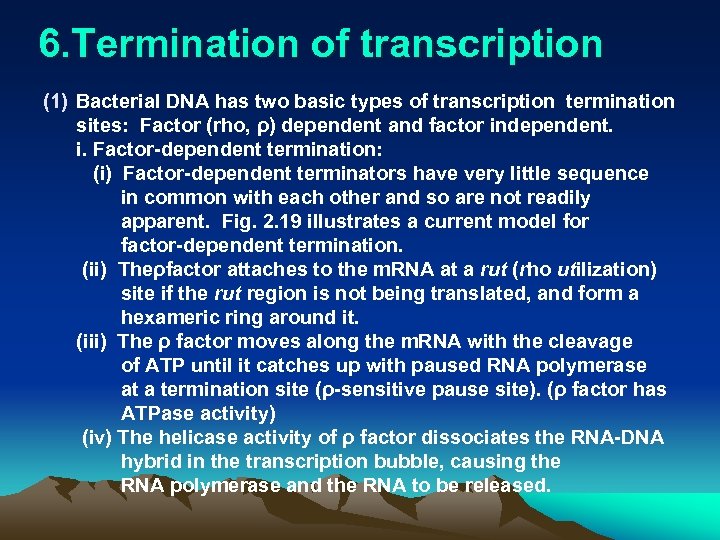 6. Termination of transcription (1) Bacterial DNA has two basic types of transcription termination