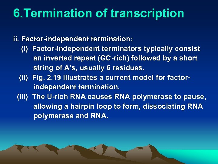 6. Termination of transcription ii. Factor-independent termination: (i) Factor-independent terminators typically consist an inverted