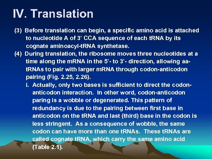 IV. Translation (3) Before translation can begin, a specific amino acid is attached to