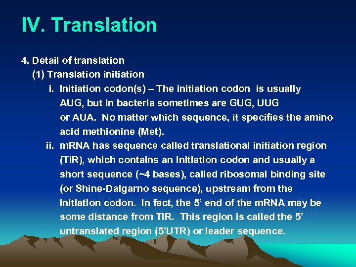 IV. Translation 4. Detail of translation (1) Translation initiation i. Initiation codon(s) – The