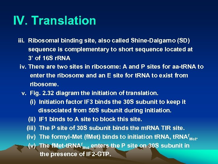 IV. Translation iii. Ribosomal binding site, also called Shine-Dalgarno (SD) sequence is complementary to