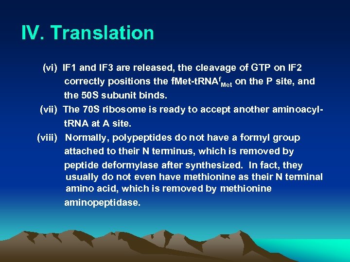 IV. Translation (vi) IF 1 and IF 3 are released, the cleavage of GTP