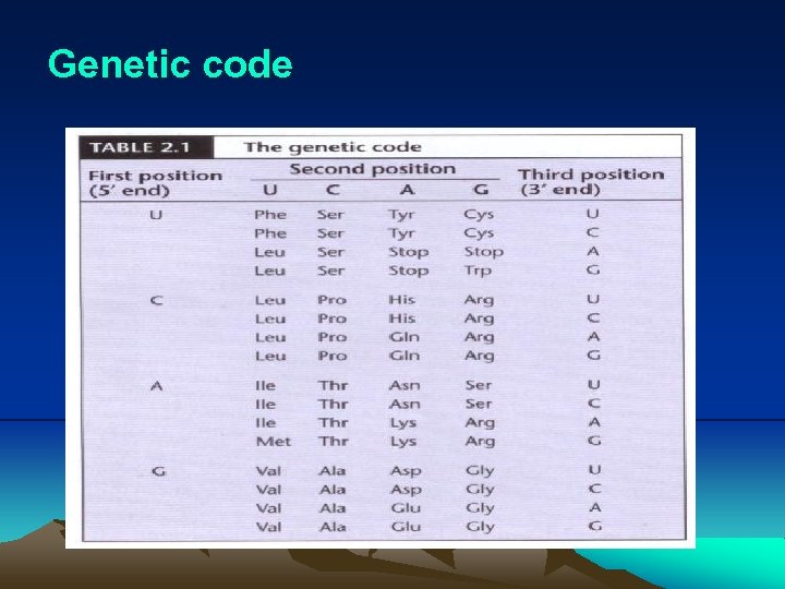 Genetic code 