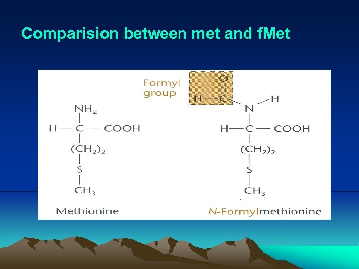 Comparision between met and f. Met 