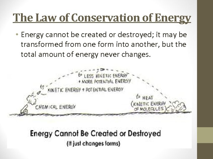 The Law of Conservation of Energy • Energy cannot be created or destroyed; it