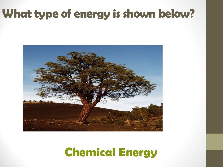 What type of energy is shown below? Chemical Energy 