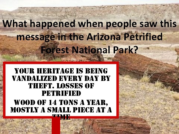 What happened when people saw this message in the Arizona Petrified Forest National Park?