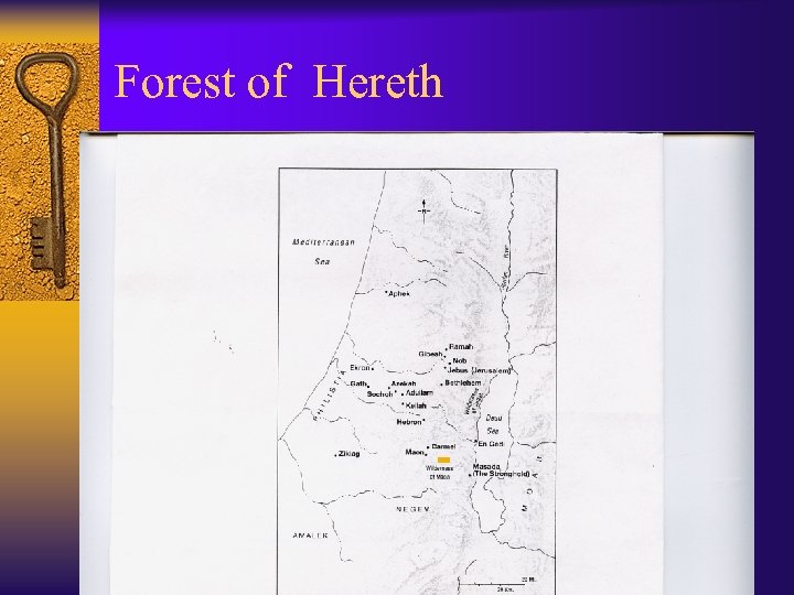 Forest of Hereth 