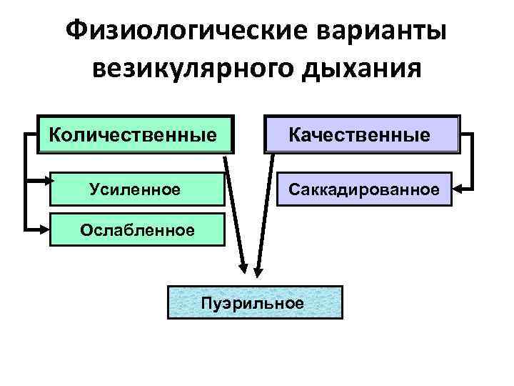 Физиологические варианты везикулярного дыхания Количественные Качественные Усиленное Саккадированное Ослабленное Пуэрильное 