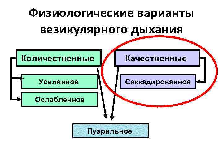 Физиологические варианты везикулярного дыхания Количественные Качественные Усиленное Саккадированное Ослабленное Пуэрильное 