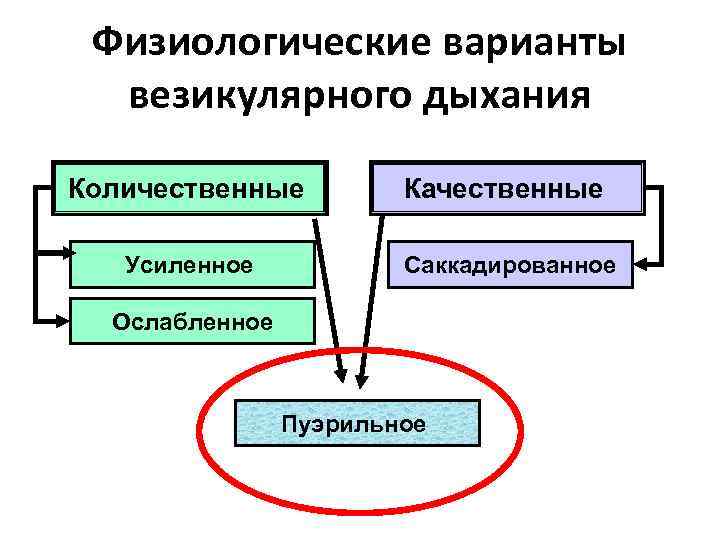 Физиологические варианты везикулярного дыхания Количественные Качественные Усиленное Саккадированное Ослабленное Пуэрильное 