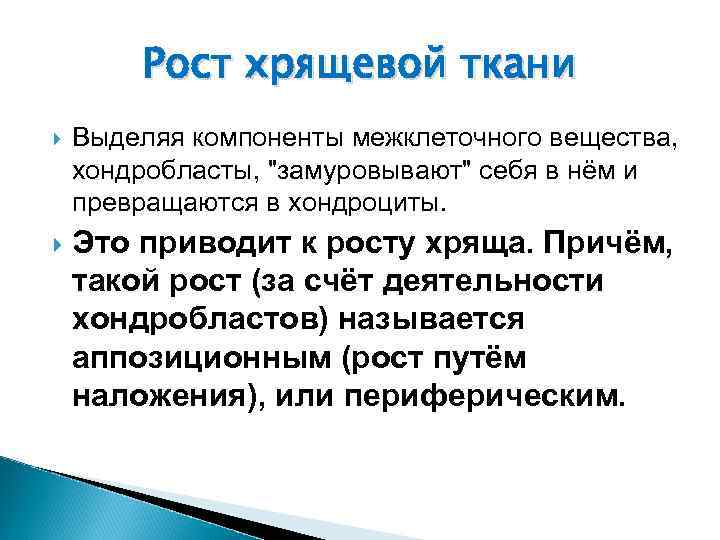 Рост хрящевой ткани Выделяя компоненты межклеточного вещества, хондробласты, 