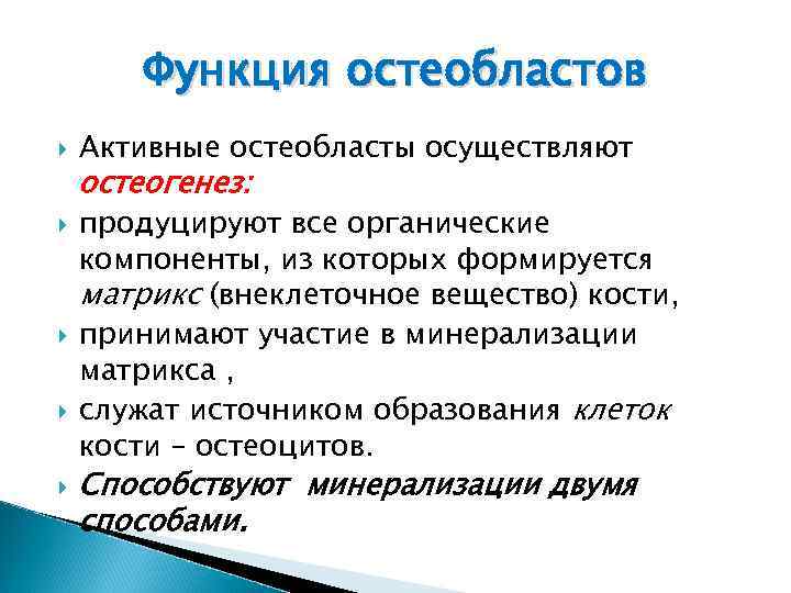 Функция остеобластов Активные остеобласты осуществляют остеогенез: продуцируют все органические компоненты, из которых формируется матрикс