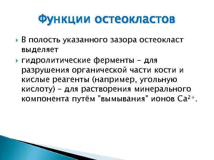 Функции остеокластов В полость указанного зазора остеокласт выделяет гидролитические ферменты – для разрушения органической