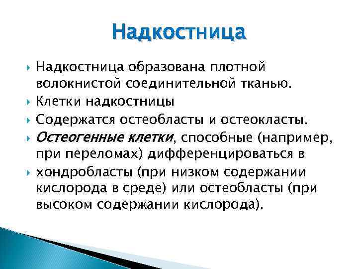 Надкостница Надкостница образована плотной волокнистой соединительной тканью. Клетки надкостницы Содержатся остеобласты и остеокласты. Остеогенные