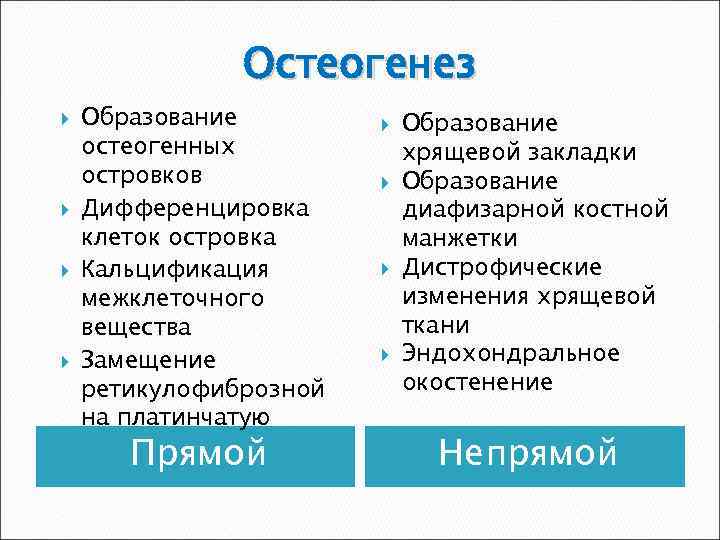 Остеогенез Образование остеогенных островков Дифференцировка клеток островка Кальцификация межклеточного вещества Замещение ретикулофиброзной на платинчатую